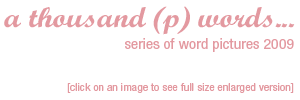 a thousand words... series of word pictures 2009 [click on an image to see full size enlarged version]